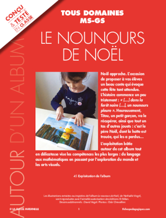 Le nounours de Noël