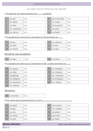 Le pluriel des noms communs