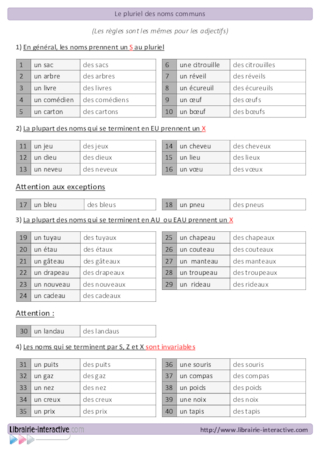 Le pluriel des noms communs