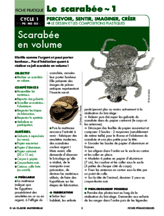 Le scarabée