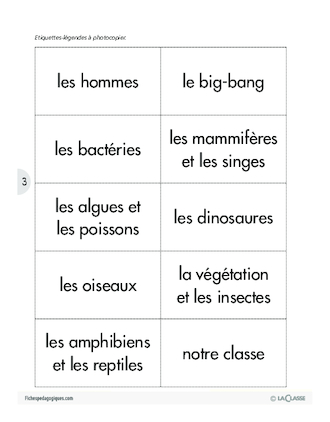 Léa découvre la Terre (2) / Travail sur la chronologie