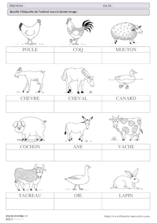 Lecture - Les animaux de la ferme GS-CP