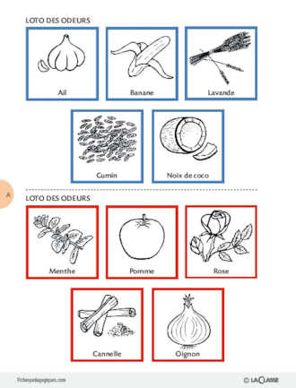 Les 5 Sens 2 2 Application A Une Sequence Fichespedagogiques Com