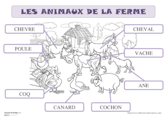 Les animaux de la ferme