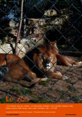 Les animaux du zoo