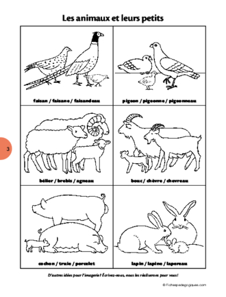 Les animaux et leurs petits (Imagerie)