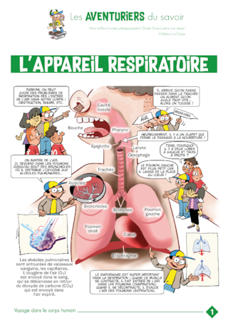 Les AVENTURIERS du savoir : Le corps humain (6 affiches)