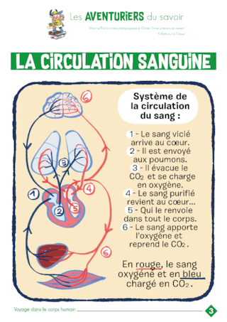 Les AVENTURIERS du savoir : Le corps humain (6 affiches)