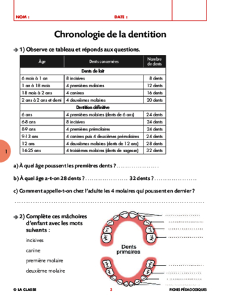 Les dents dans l'art et la littérature