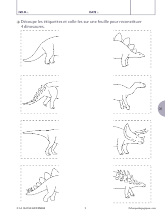 Les dinosaures (2)