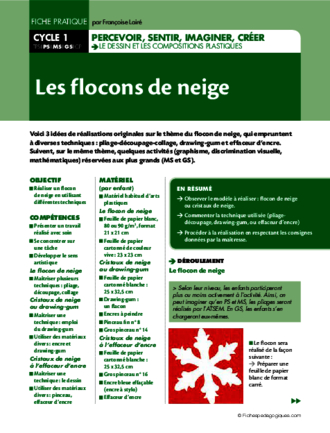 Les flocons de neige