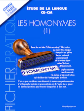 Les homonymes 1/3