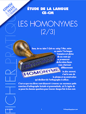 Les homonymes 2/3