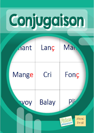 Les paires de la conjugaison (CM1/CM2/SEGPA)