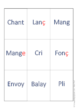 Les paires de la conjugaison (CM1/CM2/SEGPA)