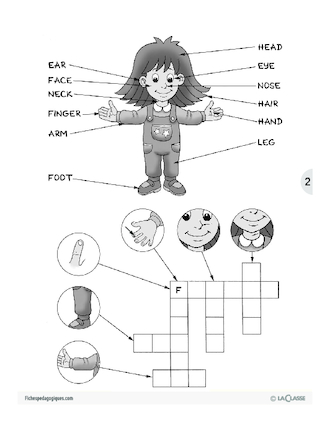 Les parties du corps / L'anglais par le jeu