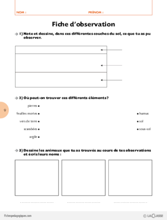 Les quatre éléments (5) / La terre