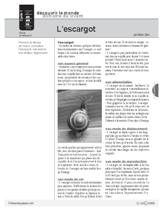 L'escargot (2)