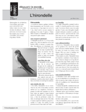 L'hirondelle (2)