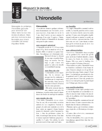 L'hirondelle (2)