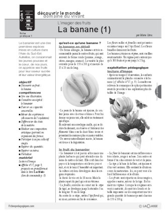 L'imagier des fruits : La banane (1)