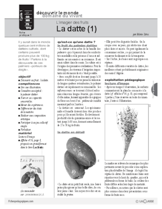 L'imagier des fruits : La datte (1)