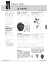 L'imagier des fruits : La fraise (1)