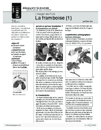 L'imagier des fruits : La framboise (1)