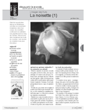 L'imagier des fruits : La noisette (1)