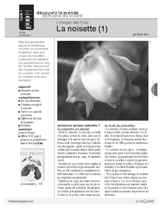 L'imagier des fruits : La noisette (1)