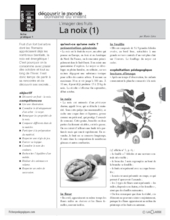 L'imagier des fruits : La noix (1)