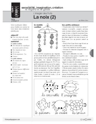 L'imagier des fruits : La noix (2)