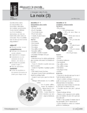 L'imagier des fruits : La noix (3)