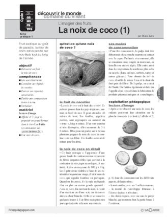 L'imagier des fruits : La noix de coco (1)