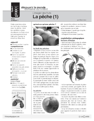 L'imagier des fruits : La pêche (1)