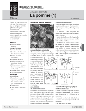 L'imagier des fruits : La pomme (1)