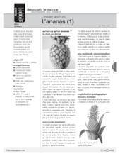 L'imagier des fruits : L'ananas (1)