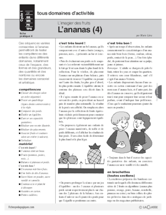 L'imagier des fruits : L'ananas (4)