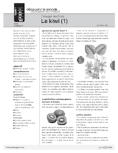 L'imagier des fruits : Le kiwi (1)