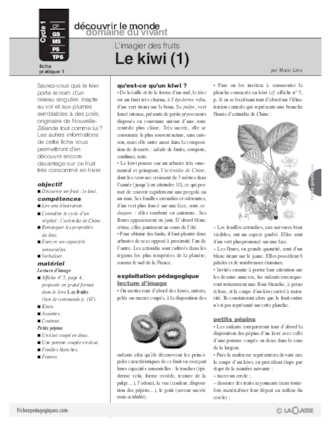 L'imagier des fruits : Le kiwi (1)