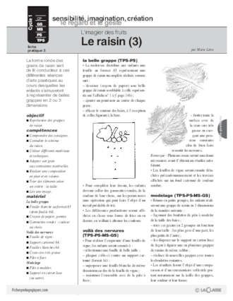 L'imagier des fruits : Le raisin (3)