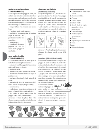 L'imagier des fruits : Le raisin (3)