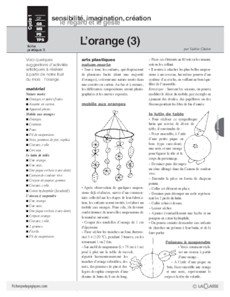 L'imagier des fruits : L'orange (3)