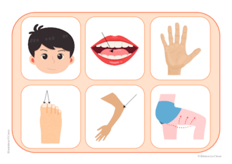 Loto des parties du corps