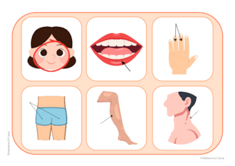 Loto des parties du corps