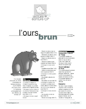 L'ours brun