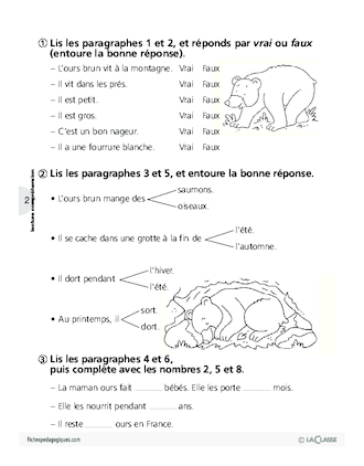 L'ours brun