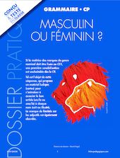 Masculin ou féminim