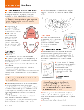 Mes dents