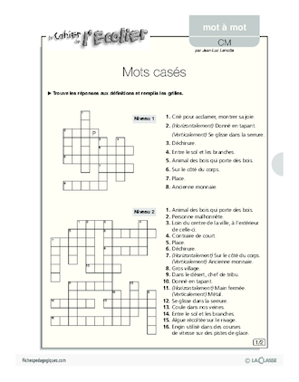 Mot à mot / Mots casés